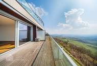 Traumhafter Blick über Wien! Garconniere mit Terrasse am Kahlenberg