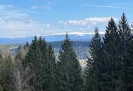 Ferienhaus/Alleinlage in absoluter Ruhelage am Waldrand (Provisionsfrei)