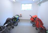 Licht, Luft & Lage: 2-Zimmer-Wohnung beim Kutschkermarkt