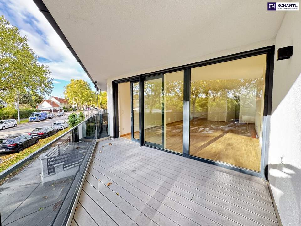 Großzügige 2-Zimmer-Wohnung mit luftiger Wohnküche und großem Balkon - frisch renoviert!