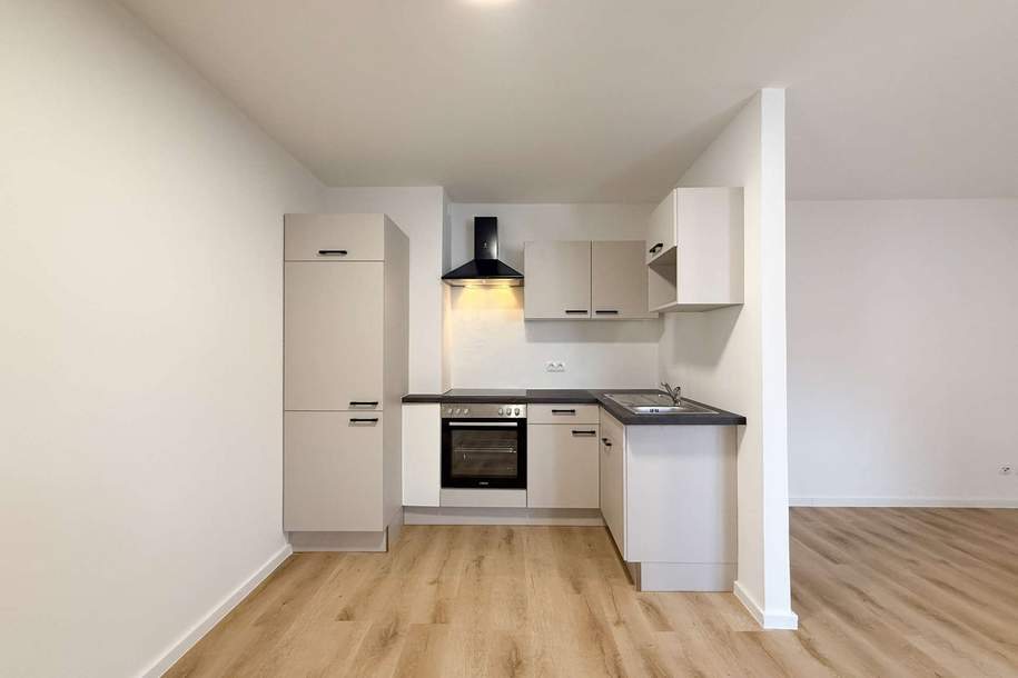 Frisch renovierte Wohnung in der Altstadt: Ab sofort verfügbar!, Wohnung-miete, 531,00,€, 4400 Steyr(Stadt)
