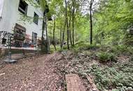 Waldgrundstück mit Altbestand in Amras
