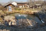 Thermenregion: Wohnhaus mit Garten, Pool und Carport – mit viel Potenzial!