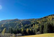 Forst und Jagdgebiet im Bezirk Wolfsberg