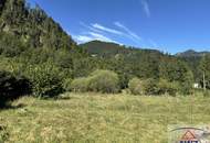 Großes Baugrundstück mit hohem Freizeitwert in Grünau im Almtal!