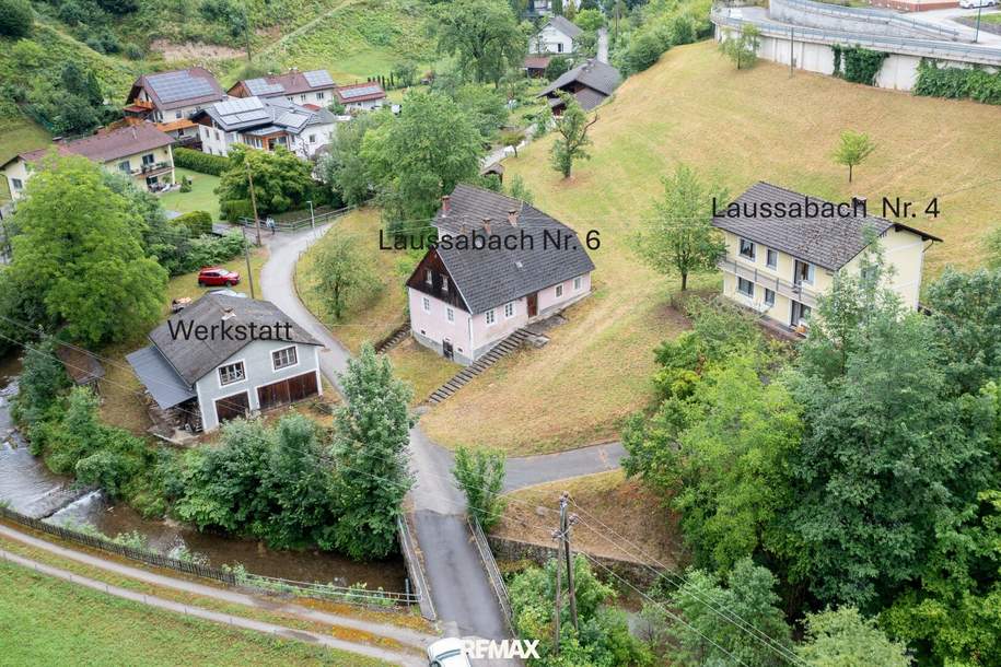 Idyllisches Liebhaberstück in Naturlage! Mit Werkstatt auf 5376 m² Grund!, Haus-kauf, 199.000,€, 4460 Steyr-Land