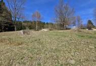 Sacherl mit ca. 4,9 ha arrondiertem Wald- und Wiesengrund in idyllischer Alleinlage