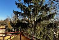 DG Wohnung beim Krankenhaus Hietzing!