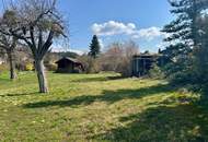 Haus mit großem Grundstück