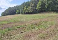 Die Lage...die Lage...die Lage...absolute Alleinlage im Südburgenland