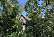 2122 Münichsthal bei Wolkersdorf, tolles Einfamilienhaus mit Riesengrundstück, Gewölbekeller und Holzstadel