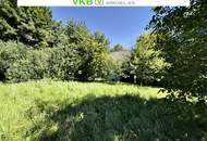 SEEWALCHEN AM ATTERSEE: Exklusives Wohn- und Arbeitsrefugium mit Weinkeller und Doppelcarport in begehrter Lage!