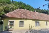 Preisreduktion! VERTRÄUMTES WINZERHAUS MIT WEINKELLER, SCHUPPEN UND UNEINSICHTIGEM GARTEN