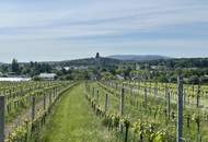 Komfortable 3-Zimmer-Wohnung mit Garten und separater Arbeitsnische zu verkaufen!