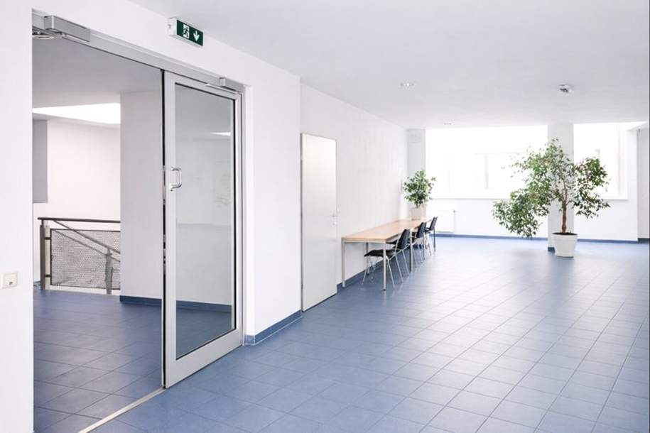 Kombination Geschäftslokal 357 m2 und Lagerfläche 310 m2 zu mieten, Gewerbeobjekt-miete, 7.427,32,€, 1230 Wien 23., Liesing