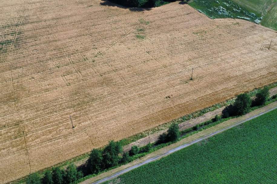 Landwirtschaftliches Grundstück in Sankt Marienkirchen an der Polsenz, Grund und Boden-kauf, 29.955,€, 4076 Eferding