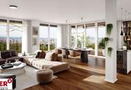 SILVESTER MIT FERNBLICK