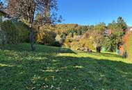 HERRLICH MIT BERG- UND WALDBLICK