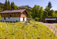 Sonniges Häuschen mit Weinstöcken in Südhanglage