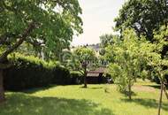 ES GIBT FÜR ALLES EINEN GRUND - wir haben gleich 3 davon…