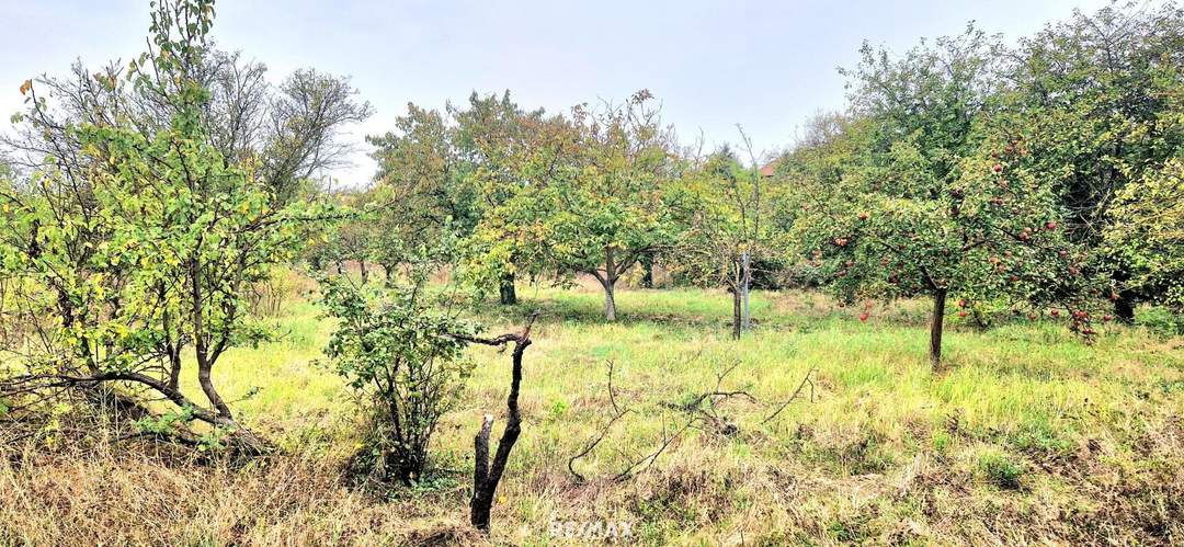 BAUGRUND in den Golser Weinbergen
