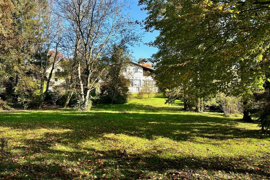 RIESIGE VILLA MIT PARKGARTEN IM LUFTKURORT, Haus-kauf, 450.000,€, 2851 Wiener Neustadt(Land)