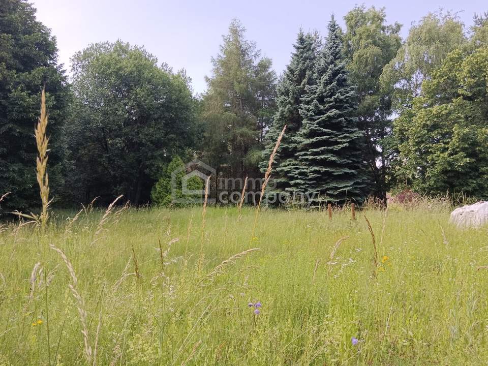 Großes Grundstück mit Waldbestand