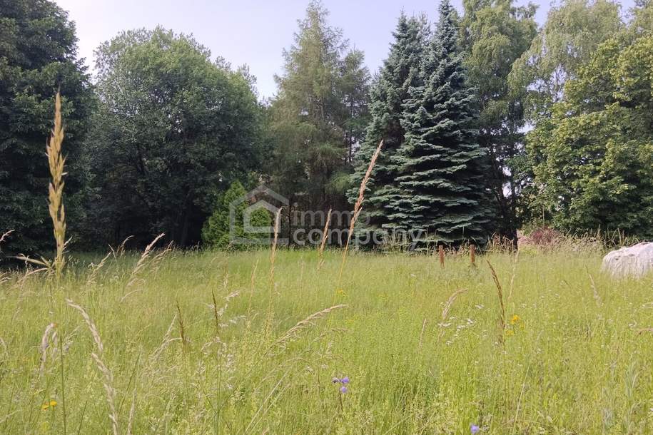 Großes Grundstück mit Waldbestand, Grund und Boden-kauf, 185.000,€, 2812 Wiener Neustadt(Land)