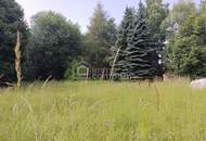 Großes Grundstück mit Waldbestand