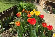 Traumlage über der Drau – Haus in Maria Elend