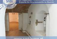 Einzigartiges Haus mit Donaublick!