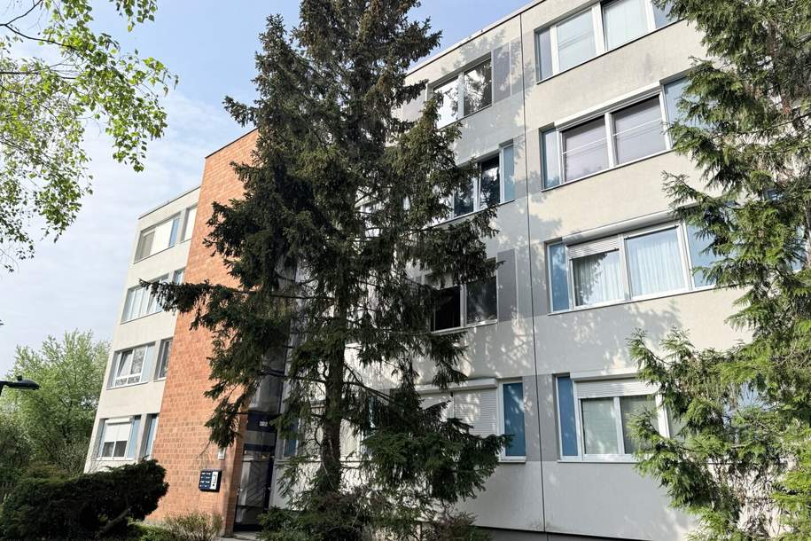 Sanierungsbedürftige 3-Zimmer-Wohnung in ruhiger Grünlage der Südstadt, Wohnung-kauf, 215.000,€, 2344 Mödling