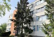 Sanierungsbedürftige 3-Zimmer-Wohnung in ruhiger Grünlage der Südstadt