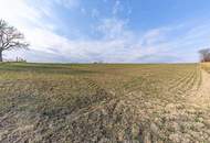 Leben im Grünen: Nachhaltige Liegenschaft mit Bauernhaus viel Land und Selbstversorger-Potenzial!