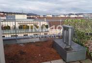 Aussichtsplattform mit Blick über Wien: Dachterrassen-Maisonette: Singrienergasse 13 - Top 13