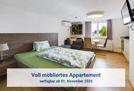 G87 / 1 ZI APPARTEMENT / TOP3