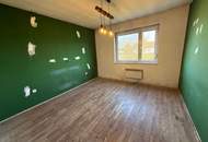 Einfamilienhaus in Ruhelage mit großem Garten - 704 m² nahe Therme Stegersbach! (Provisionsfrei)