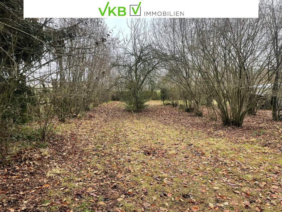 Attraktive Bauparzelle in Spattendorf! – Gemeinde Alberndorf in der Riedmark