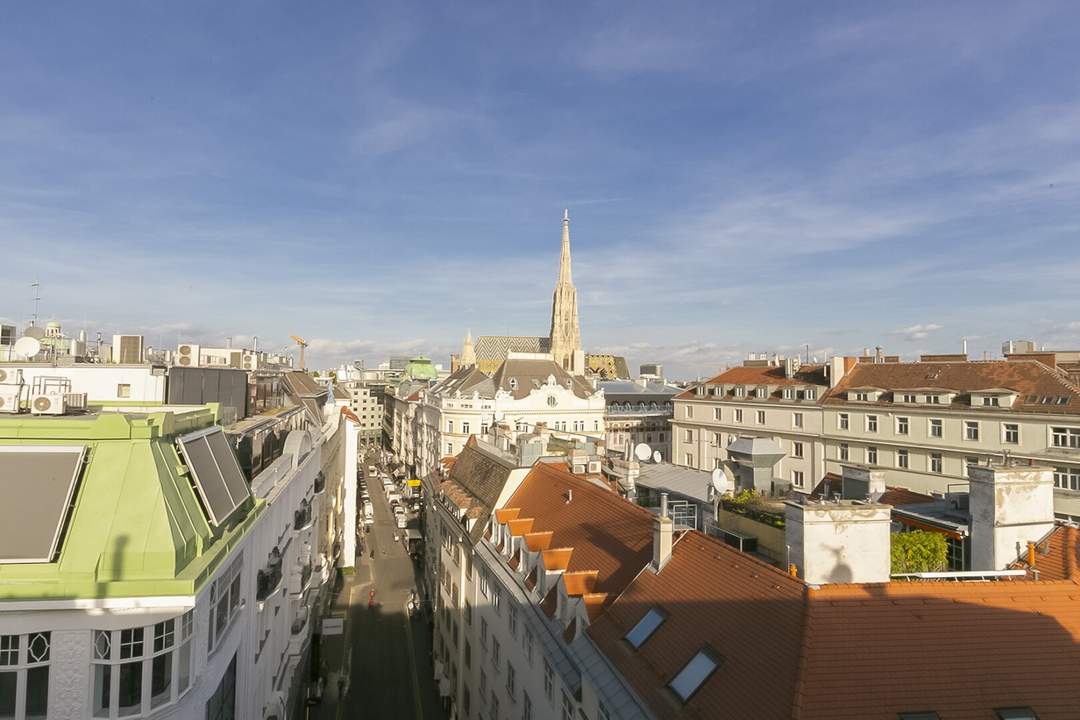 Plankengasse - loftartiges Penthouse auf 3 Etagen und Blick zum Stephansdom