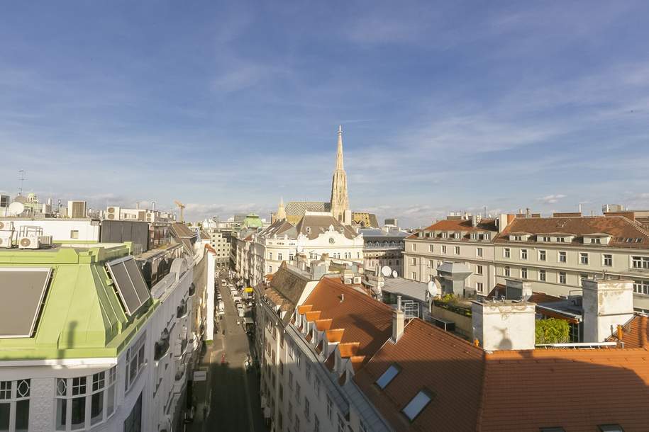 Plankengasse - loftartiges Penthouse auf 3 Etagen und Blick zum Stephansdom, Wohnung-miete, 12.060,00,€, 1010 Wien 1., Innere Stadt