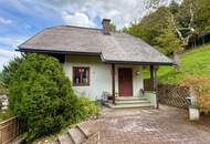 Feistritz im Rosental - idyllisches Häuschen für Singles oder Paare mit Nebengebäuden