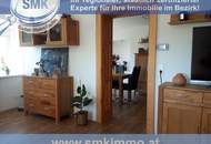 Vierkant Pferdehof im herrlichen Waldviertel mit 3 ha Wiesen!