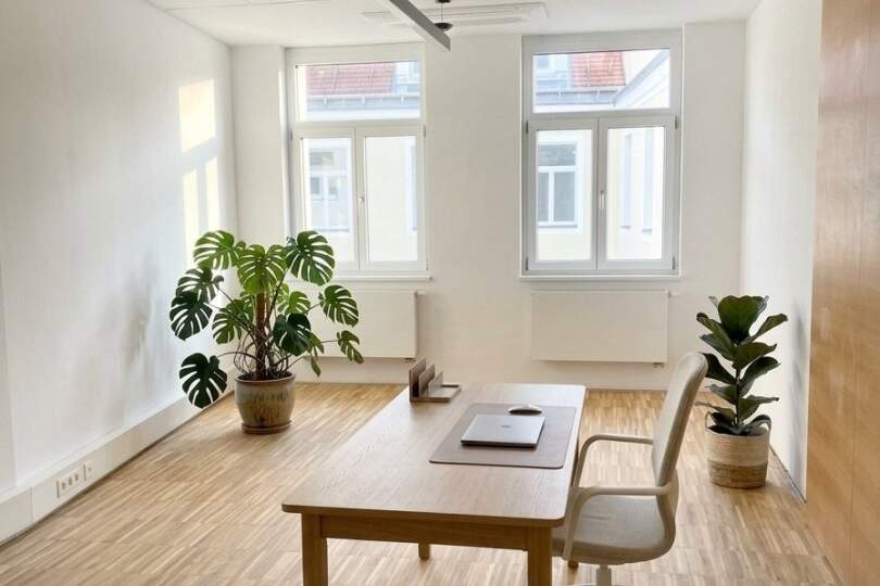 NEU | ERSTBEZUG | MODERNE BÜROFLÄCHE "MAGNOLIE" IN BADEN, Gewerbeobjekt-miete, 2.474,22,€, 2500 Baden