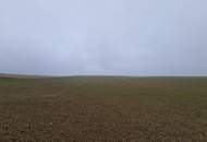 TOLLE ACKERFLÄCHE IN SÜDSEITIGER AUSRICHTUNG MIT GUTER BONITÄT IN GROßMUGL