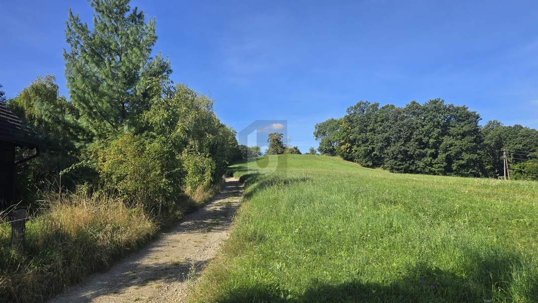 ROMANTISCHER GRUND MIT GRÜNLANDWIDMUNG
