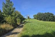 ROMANTISCHER GRUND MIT GRÜNLANDWIDMUNG