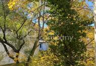 Altbau trifft Eleganz – 5-Zimmer-Wohntraum mit Charme und Stil