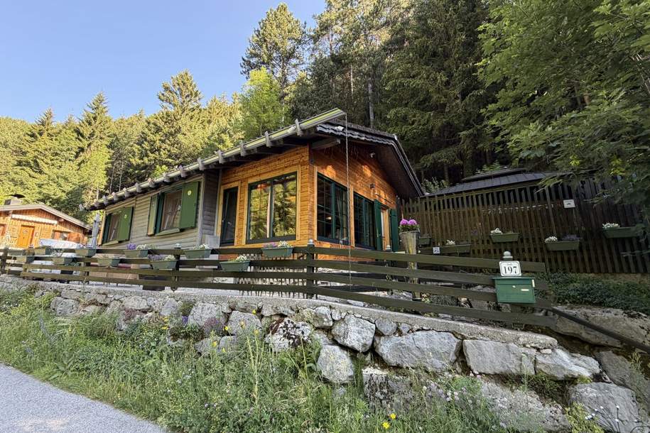 Natur, Ruhe, Zuhause!, Haus-kauf, 329.000,€, 2761 Wiener Neustadt(Land)