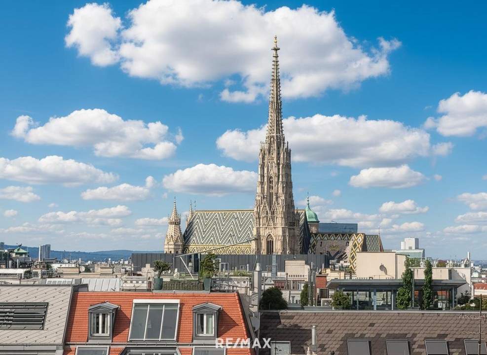 4 Zimmer -100m2 Dachterrasse