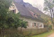 Romantisches Cottage in Alleinlage auf 5.555 m² Grund mit großzügigem Holzbezugsrecht